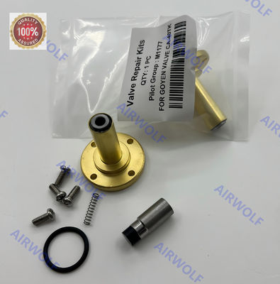 Armature M1177 Pilot Plunger For Goyen Valve CA-40TK Repair Kit Brass NBR FKM Material